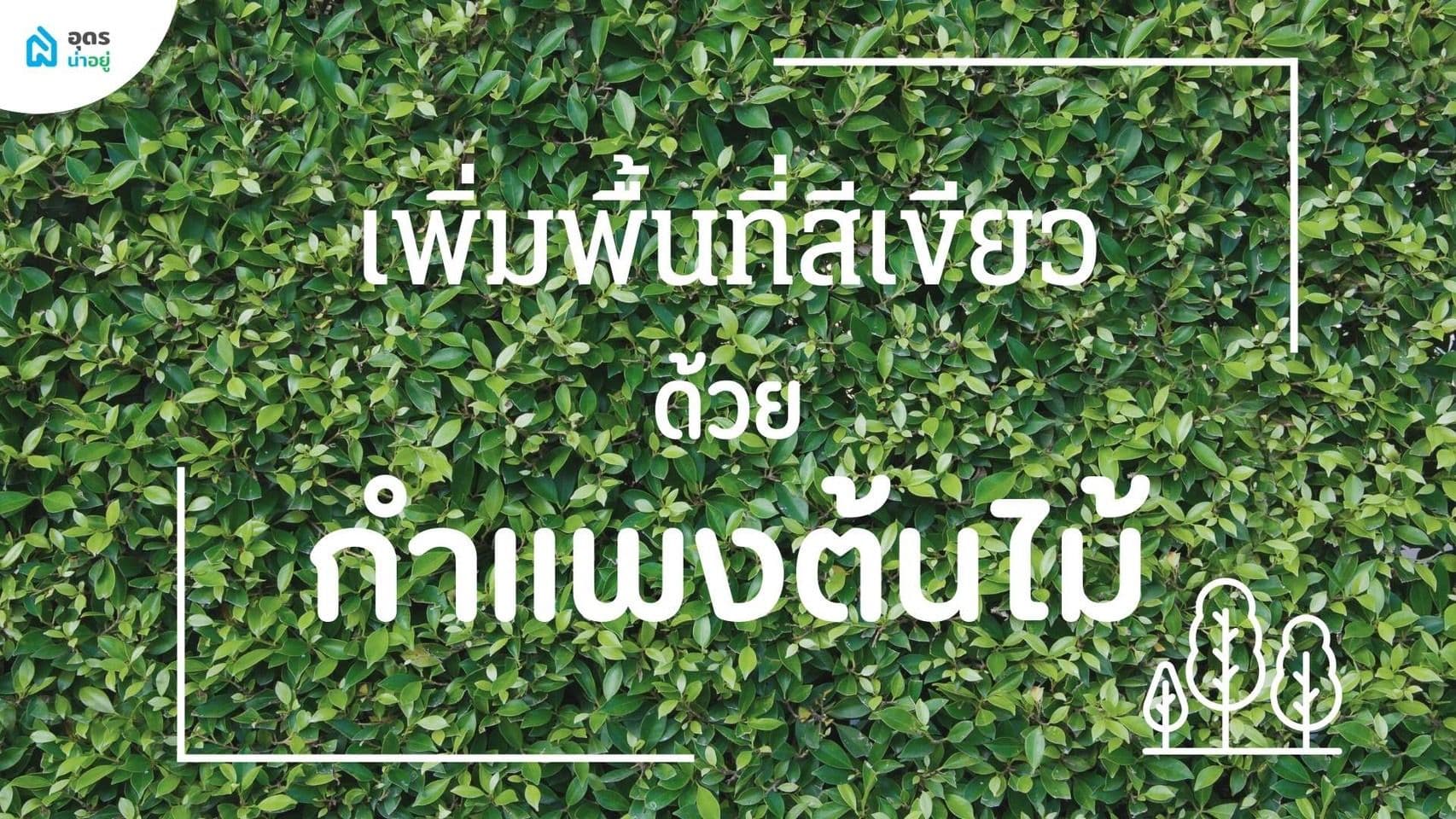 เพิ่มพื้นที่สีเขียวด้วย 9 กำแพงต้นไม้
