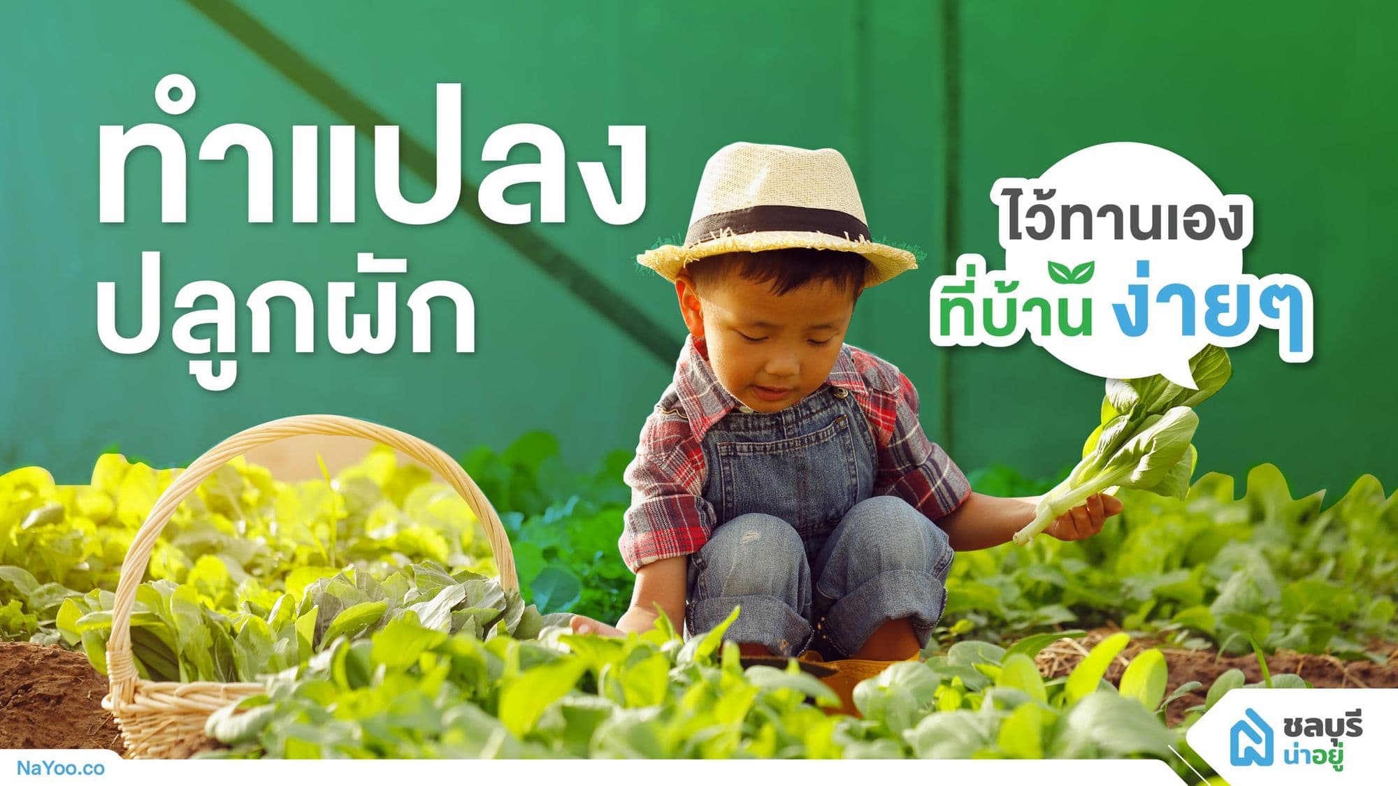 ทำแปลงปลูกผัก ไว้ทานเองที่บ้านง่ายๆ