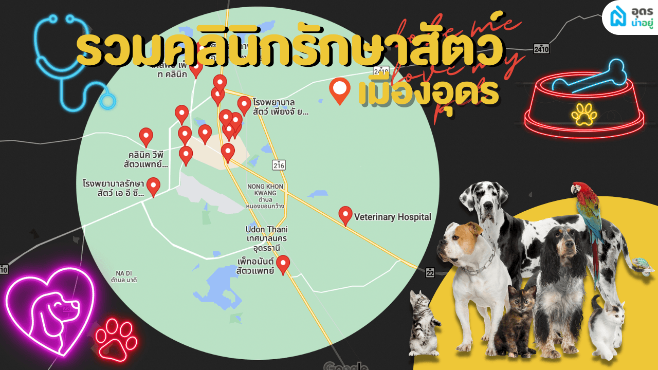 รวมโรงพยาบาลสัตว์ในอุดร ไม่ว่าจะรักษา ทำหมัน ก็มีครบ!