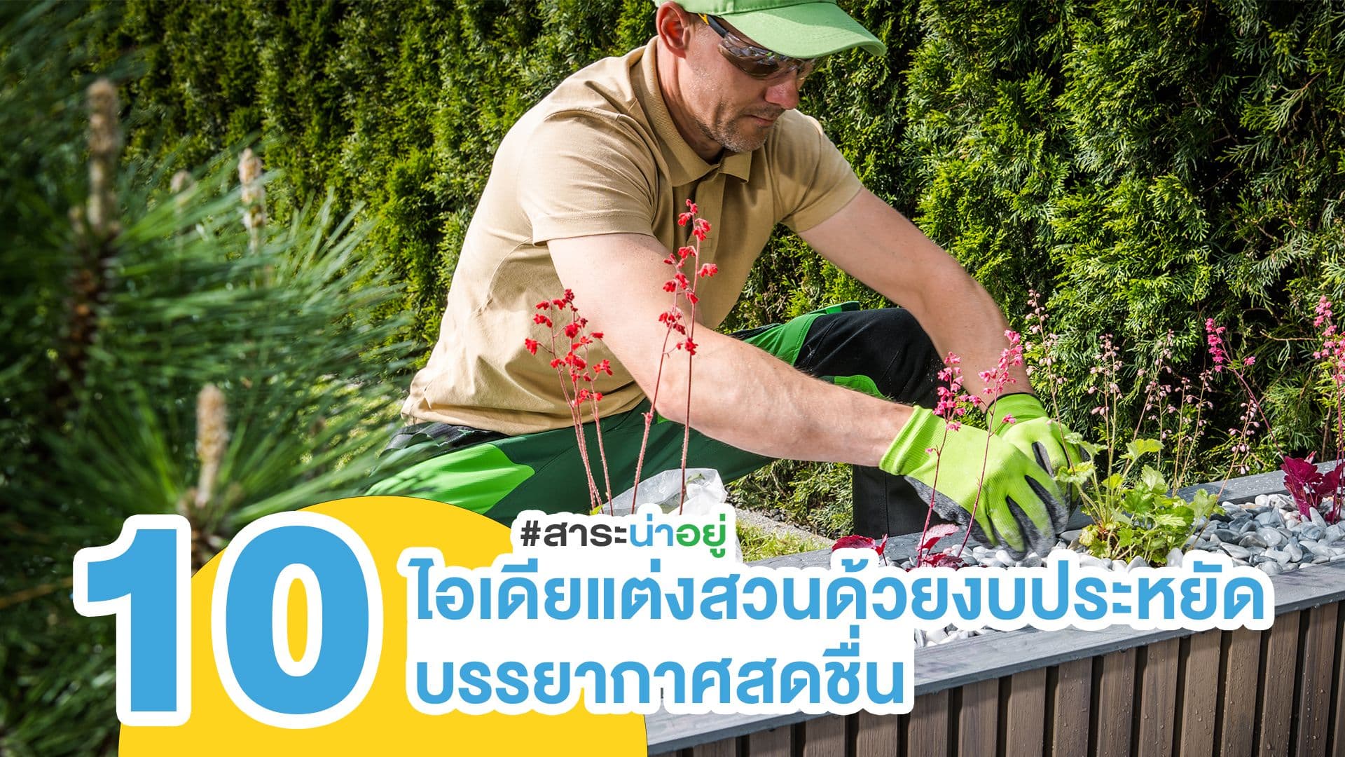ไอเดียแต่งสวนด้วยงบประหยัด บรรยากาศสดชื่น