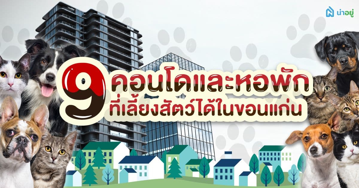 9 คอนโดและหอพักที่เลี้ยงสัตว์ได้ในขอนแก่น
