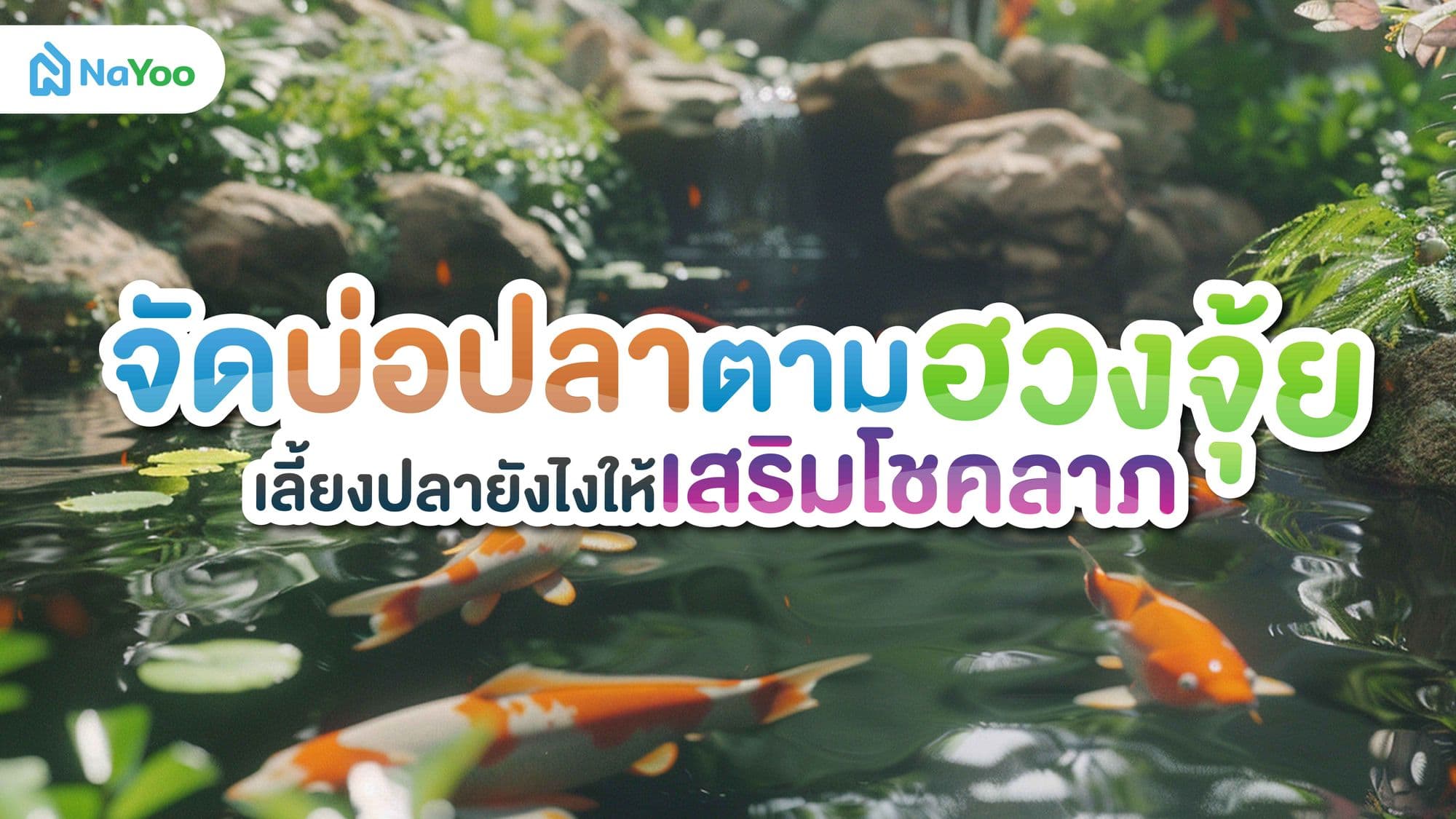 จัดบ่อปลาหน้าบ้าน ฮวงจุ้ยแบบง่าย ๆ เลี้ยงปลายังไงให้เสริมโชคลาภ