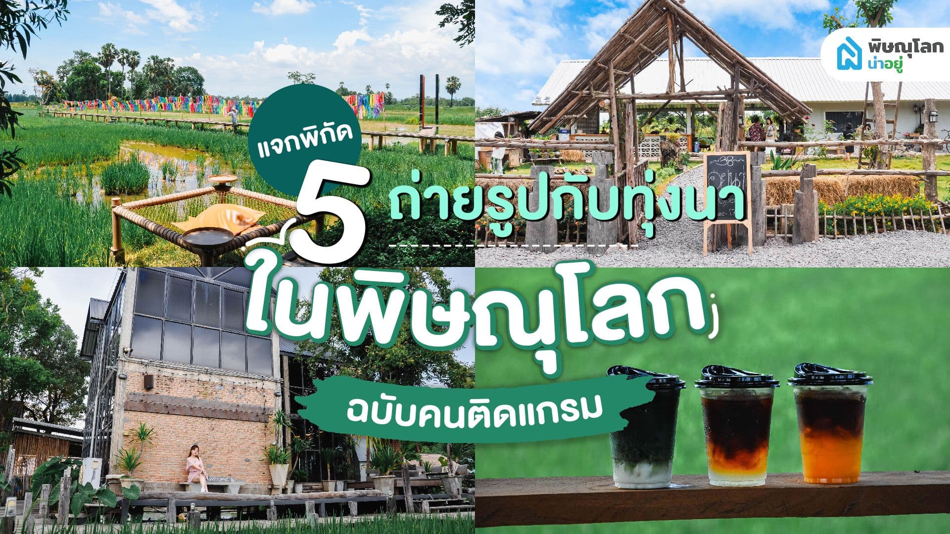 แจก 5 พิกัดถ่ายรูปกับนาข้าว ฉบับคนติดแกรม!!!