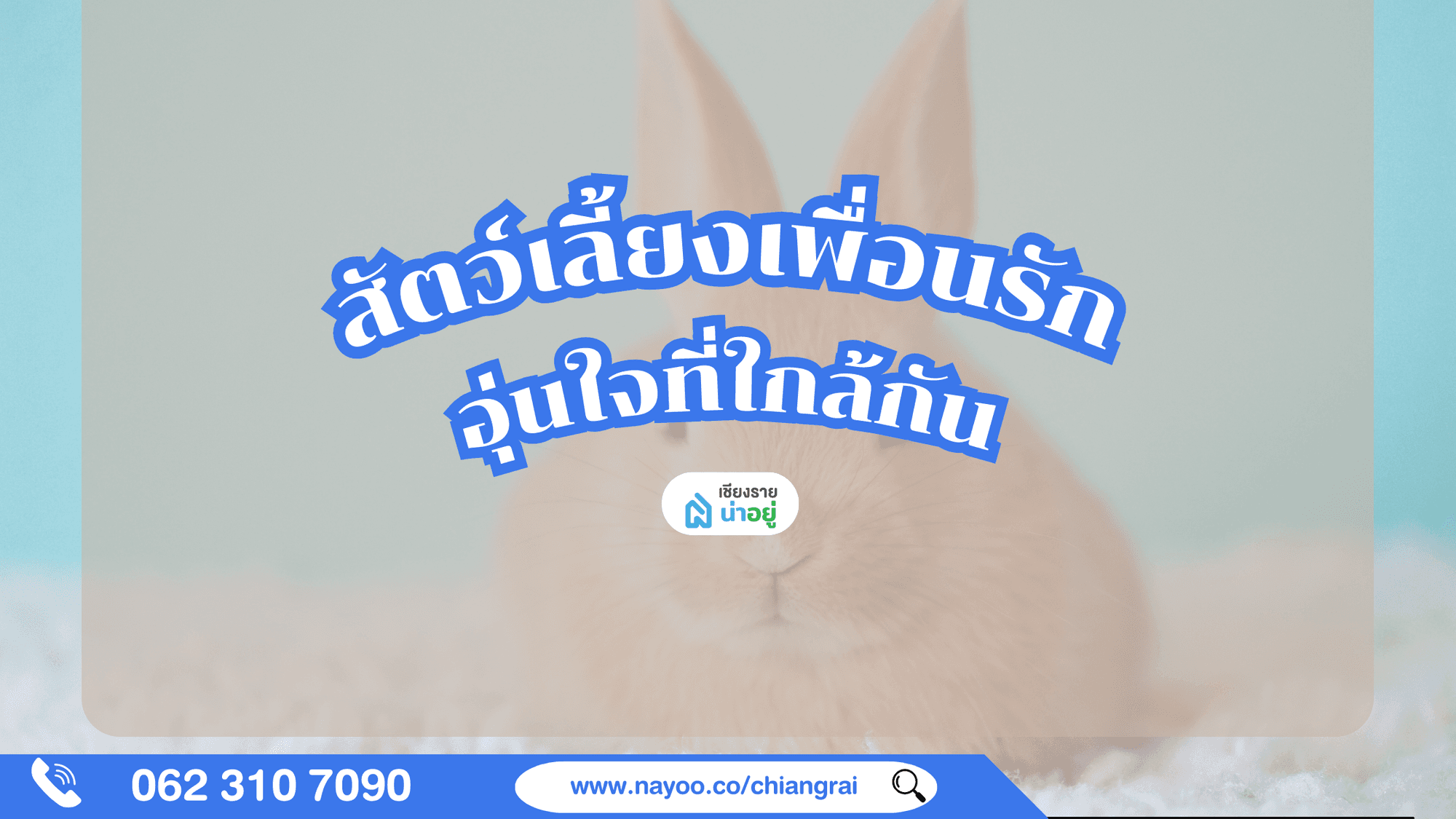 เหตุผลที่สัตว์เลี้ยงเปลี่ยนชีวิตเราให้ดีขึ้น
