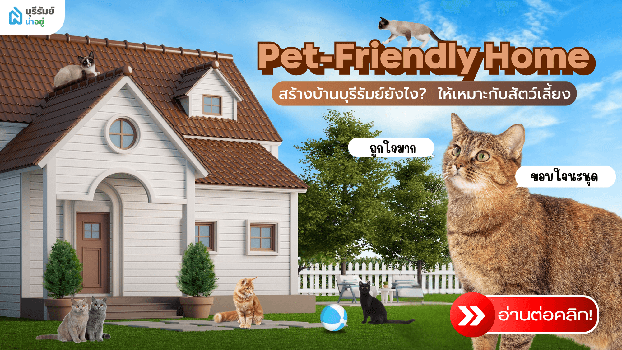 Pet-Friendly Home: สร้างบ้านบุรีรัมย์ยังไง? ให้เหมาะกับสัตว์เลี้ยง