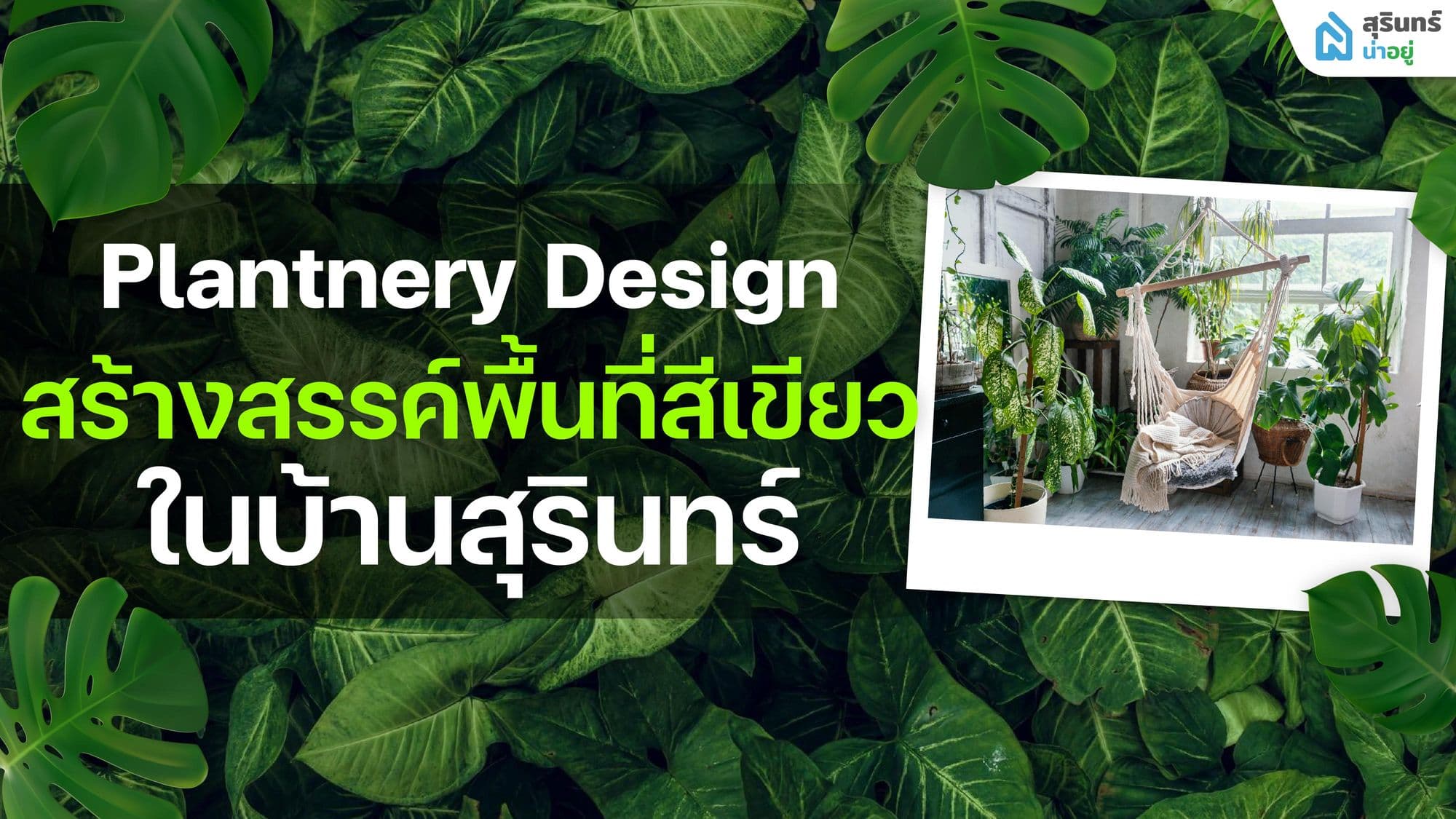 Plantnery Design สร้างสรรค์พื้นที่สีเขียวใน บ้านสุรินทร์