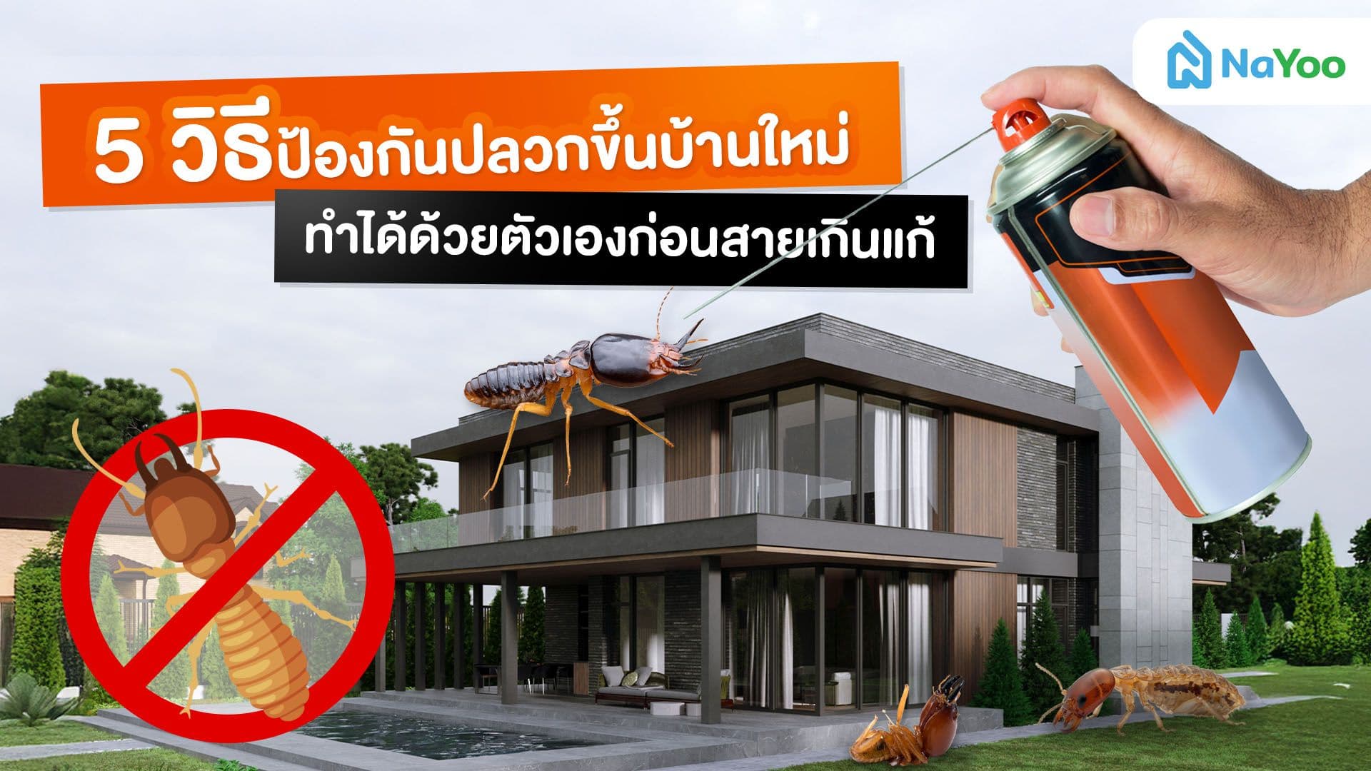 ต้องรู้ก่อนเข้าอยู่! 5 เคล็ดลับป้องกันปลวกขึ้นบ้านใหม่