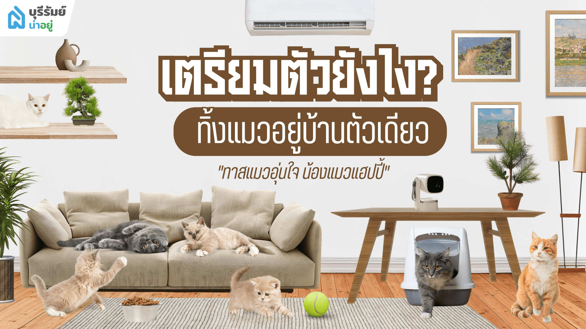 เช็กลิสต์ ทิ้งแมวอยู่บ้านตัวเดียว เตรียมตัวยังไง? ทาสแมวอุ่นใจ น้องแมวแฮปปี้