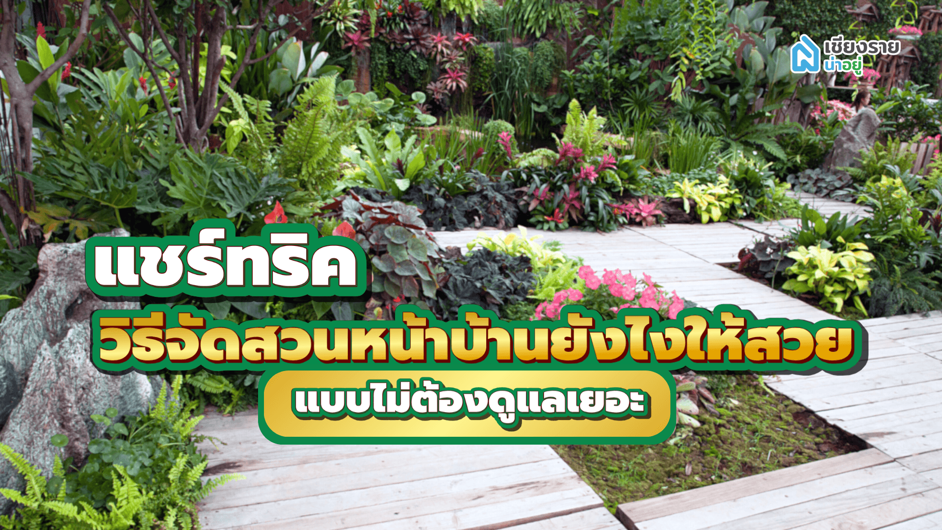 แชร์ทริควิธีจัดสวนหน้าบ้านยังไงให้สวย แบบไม่ต้องดูแลเยอะ