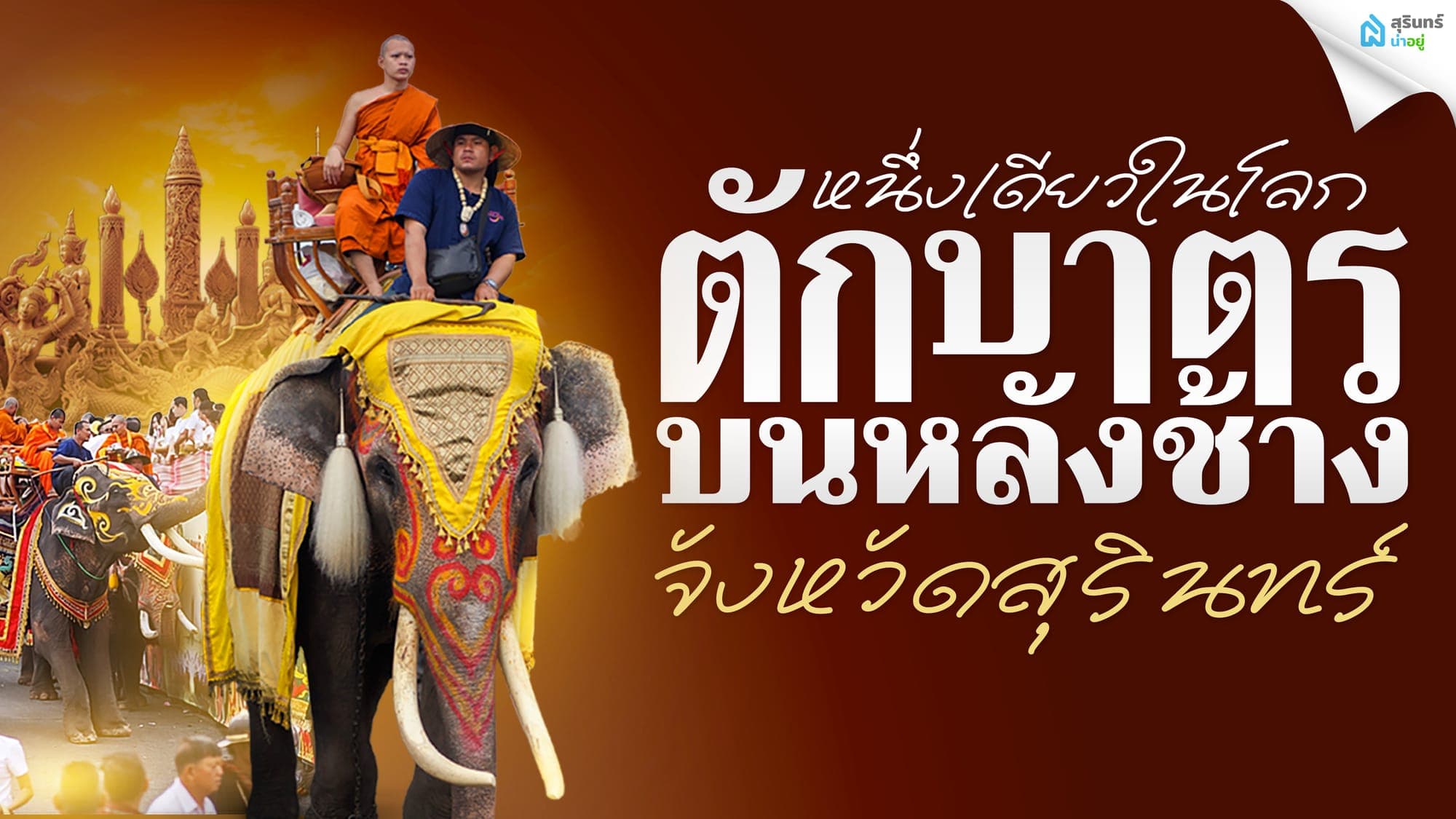 งานประเพณีตักบาตรบนหลังช้าง สัมผัสมนต์เสน่ห์หนึ่งเดียวในโลก