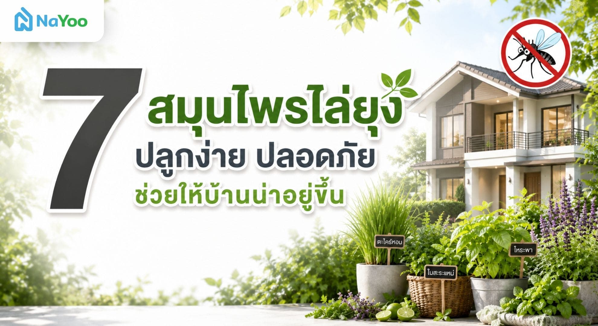 พาไปหาคำตอบ! ปลูกสมุนไพรไล่ยุงชนิดไหนดีที่สุด?