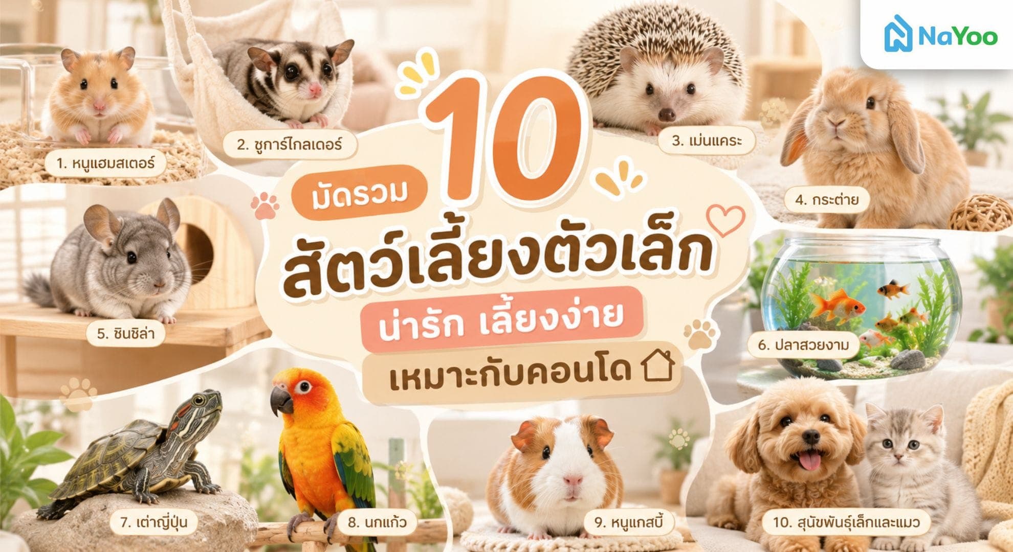 สัตว์เลี้ยงตัวเล็ก สำหรับบ้านหรือคอนโดที่มีพื้นที่จำกัด มีอะไรบ้าง?