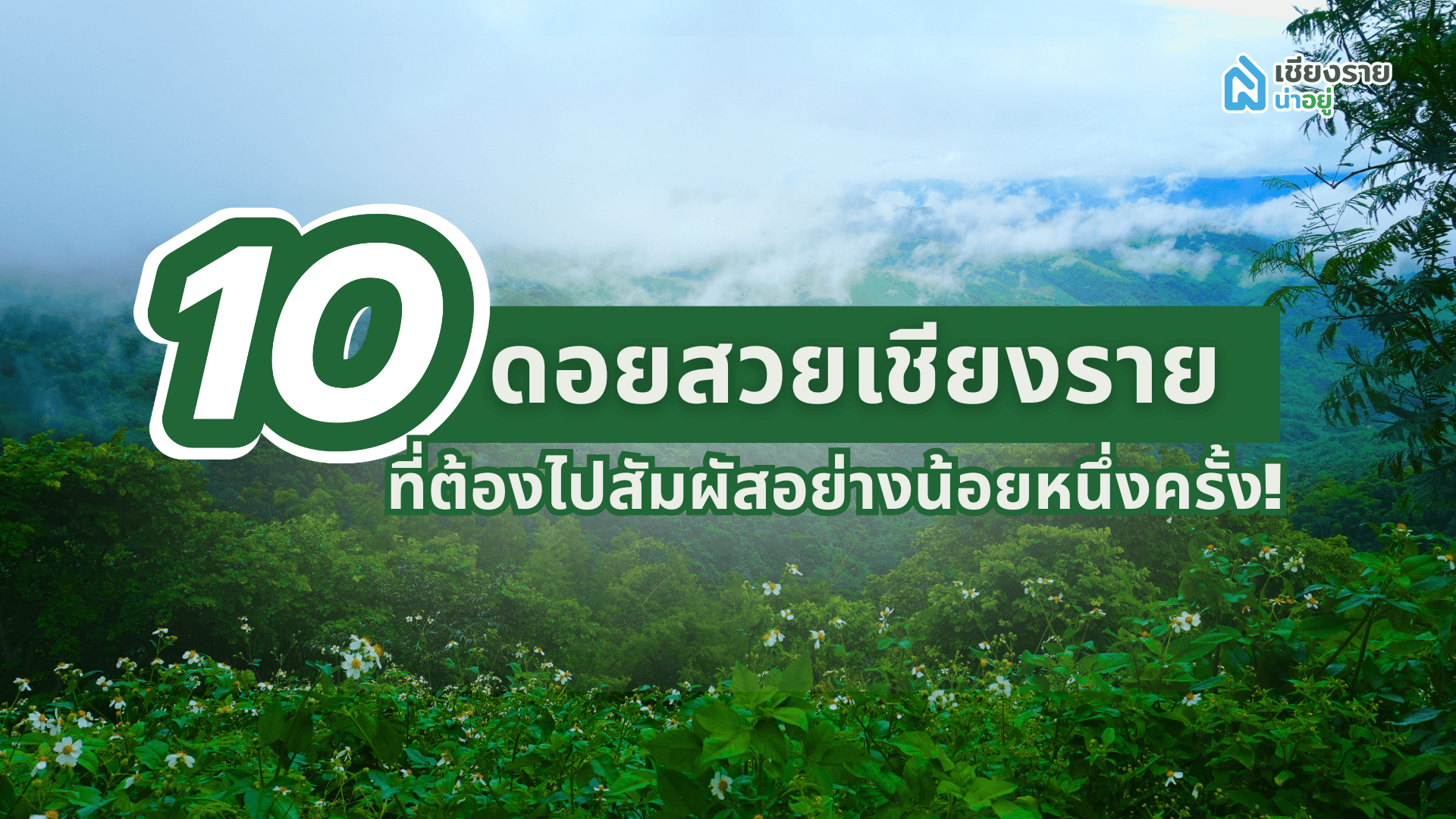 อยากเที่ยวรับลมหนาวต้องไปเช็กอินดอยเชียงราย แต่ไปที่ไหนดี?