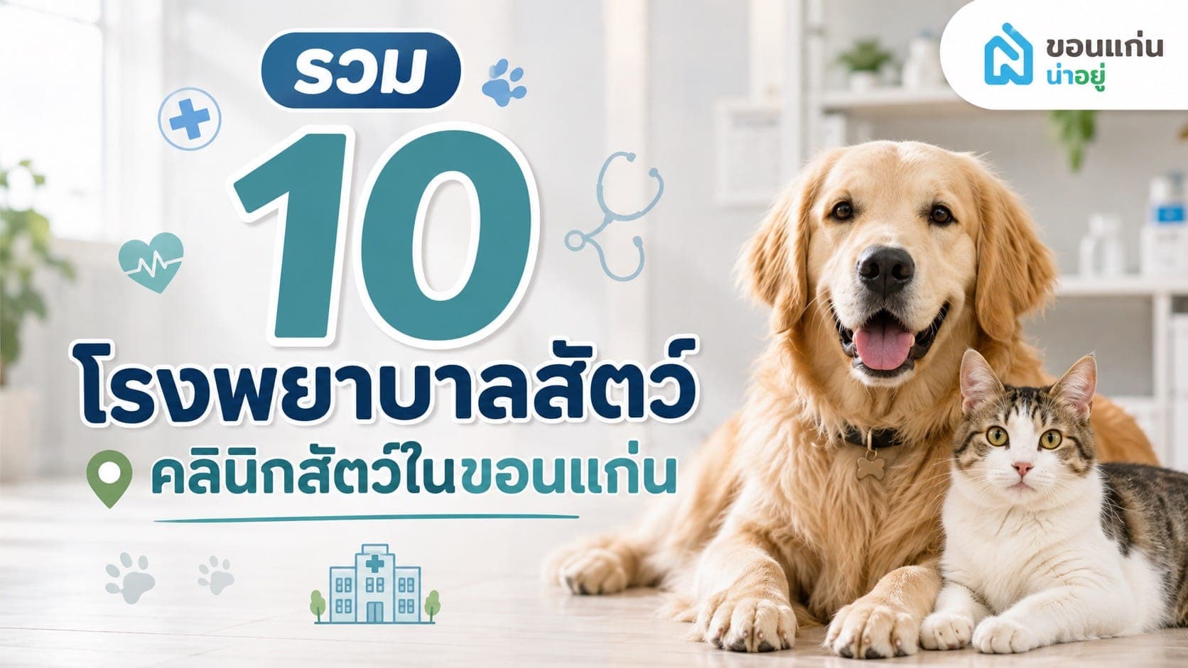 10 โรงพยาบาลสัตว์ขอนแก่น มีที่ไหนบ้าง?
