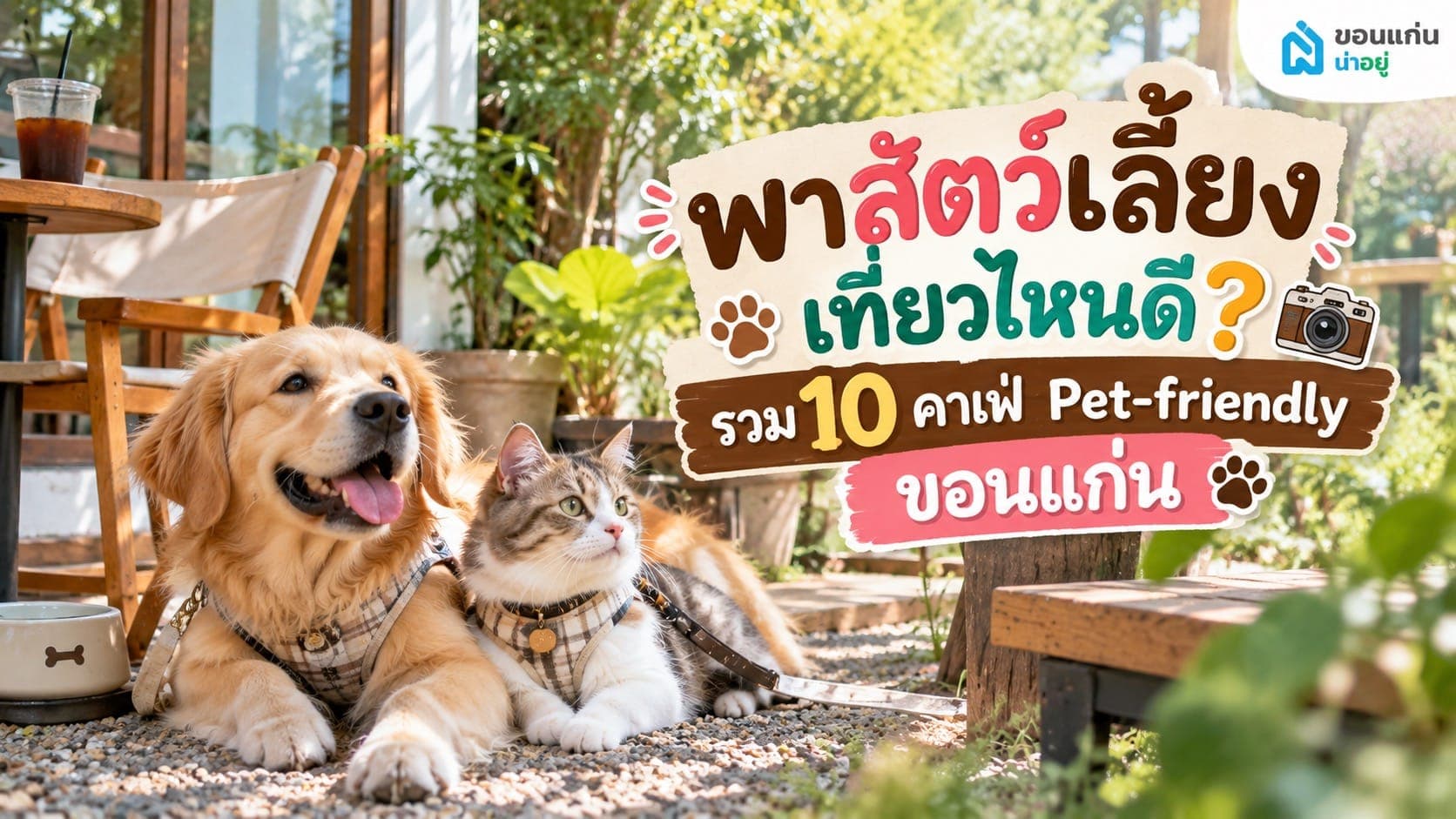 ปักหมุดคาเฟ่ Pet-friendly ขอนแก่น ร้านน่านั่งที่พาสัตว์เลี้ยงเข้าได้
