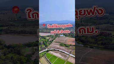 🚨 หลุดขายด่วน! ลดทันที 3 ล้าน! ที่ดินทำเลท่องเที่ยว ติดไร่ชาฉุยฟง แม่จัน เชียงราย
