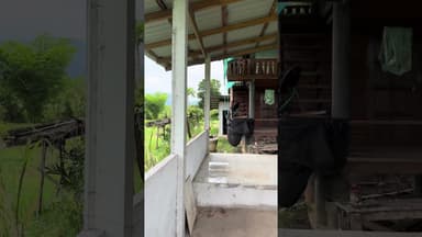 ที่ดินสวยภูผาม่าน 15+ ไร่