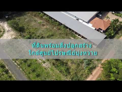 ที่ดินอุบล ที่ดินพร้อมสิ่งปลูกสร้าง ใกล้ศูนย์ไปรษณีย์บุ่งหวาย วารินชำราบ