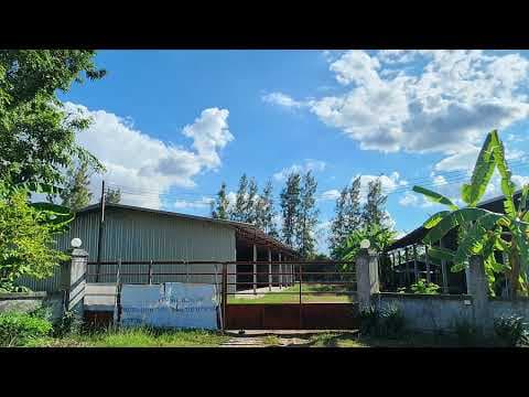 ขายที่ดินหินตั้ง อำเภอบ้านไผ่ ติดถนนมิตรภาพมีอาคารเปิดโล่ง