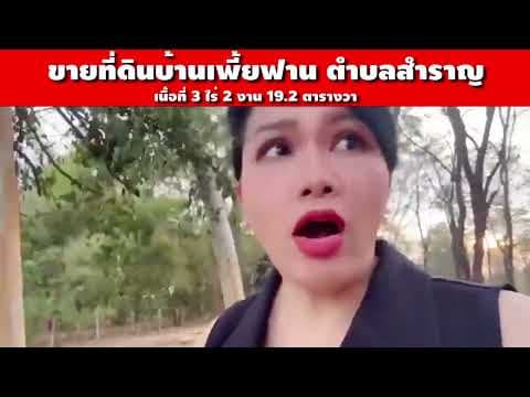 ขายที่ดินบ้านเพี้ยฟาน ตำบลสำราญ ราคาพิเศษ ! เพียง 4.5 ล้านบาท