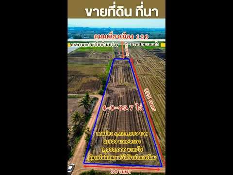 ขายที่ดิน 4 ไร่ 89.7 ตารางวา(4-0-89.7 ไร่) ต.บ้านกร่าง อ.เมือง จ.พิษณุโลก