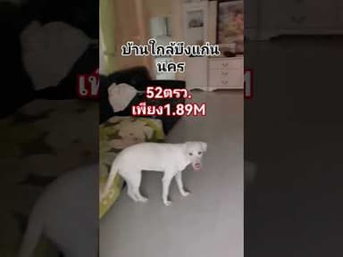บ้านล้านแปดเก้าใกล้บึงแก่นนคร ขอนแก่น