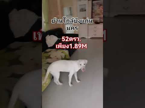 บ้านล้านแปดเก้าใกล้บึงแก่นนคร ขอนแก่น