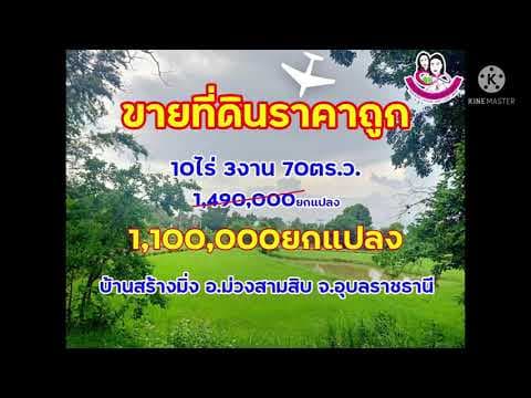 EP.20ขายที่ดินราคาถูก ปรับราคาลงเหลือเพียง 1.1ล้าน โฉนดครุฑแดง 10-3-70ตร.ว. จ.อุบลราชธานี