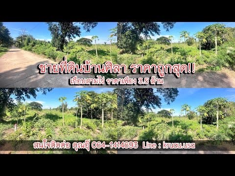 ขายที่ดินบ้านศิลา ราคาถูกสุด!!เกือบสามไร่ ขายเพียง 3.5 ล้าน