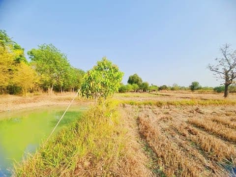 ที่ดินท้ายบ้านหนองคู ห่างตัวขอนแก่น 20กม. เนื้อที่พอดี.เหมาะทำบ้านสวน ทำการเกษตร THLB-405