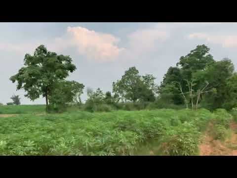 พาชมที่ดิน 201ไร่@น้ำพอง ทำเลทองในอนาคต