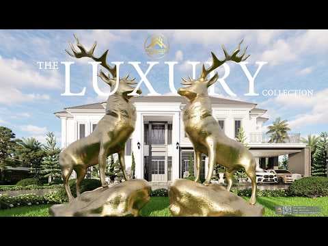 Animation Modern Classic Luxury WD