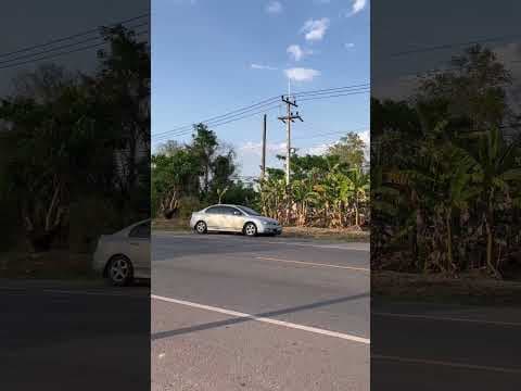 ขายที่ดิน เส้นหลักเขื่อนอุบลรัตน์ 9 ไร่เศษ
