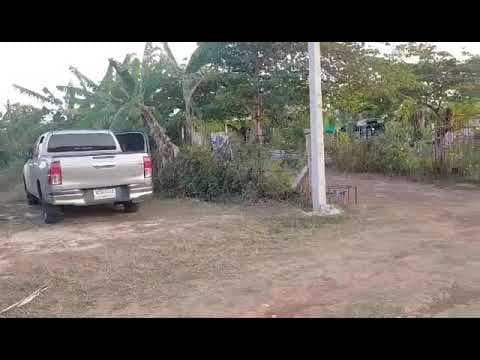 ที่ 2 งาน (บ้านหนองใส)