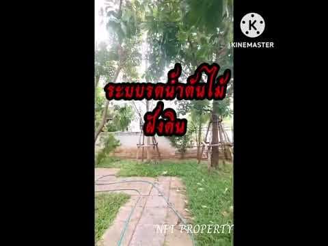 บ้านเมืองเอกถูกสุดในย่านนี้​