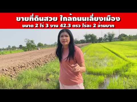 ขายที่ดินสวย ที่นา ใกล้ถนนเลี่ยงเมือง ขนาด 2 ไร 3 งาน 42.3 ตรว. จ.ขอนแก่น
