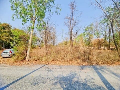 ที่ดินติดถนน รูปแปลงสวย น้ำ-ไฟถึง เดินทางสะดวก ห่างถนนมะลิวัลย์/รร.นครขอนแก่น แค่4.5กม. เมืองขอนแก่น