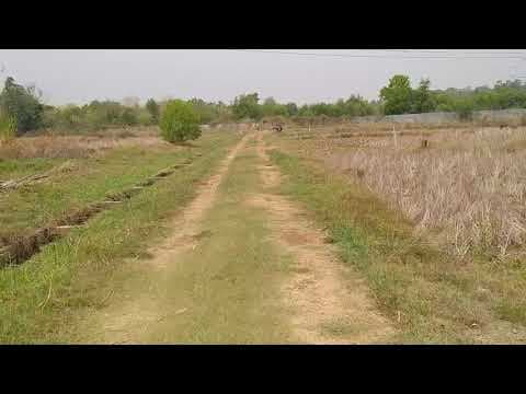 ขายที่ดิน 0-3-85 THB1,200,000 หนองนาคำ เมือง อุดรธานี - L10607