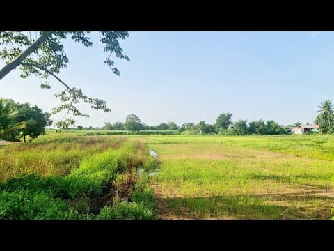 ที่ดินทำบ้านสวน ถมแล้ว*ราคาถูก* แปลงสวย บรรยากาศดีมาก ห่างมิตรภาพ 2กม. ตัวอ.เขาสวนกวาง ขอนแก่น