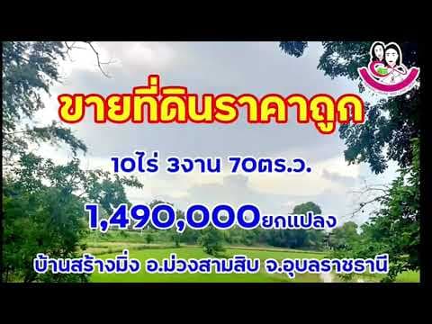 EP.1ขายที่ดินราคาถูก 1.49ลบ.โฉนดครุฑแดง 10-3-70ตร.ว. จ.อุบลราชธานี