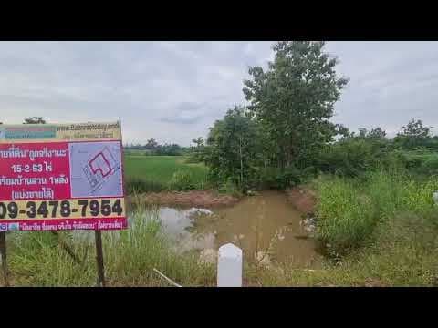 ที่ดิน+บ้านสวน 2 หลัง *ราคาถูกมาก* เป็นส่วนตัว บรรยากาศดี ติดถนนเส้นหลักมัญจาคีรี-แก้งคร้อ ชัยภูมิ เส้น 229