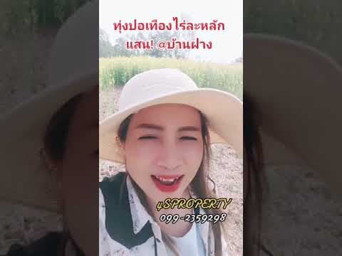 ที่ดินหลักแสนต่อไร่ในบ้านฝางขอนแก่น
