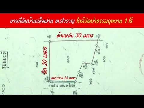 ขายที่ดินบ้านเพี้ยฟาน ต. สำราญ จำนวน 1 ไร่ ราคาพิเศษจาก2.2 ล้านบาท เหลือเพียง 2 ล้าน ค่าโอนคนละครึ่ง