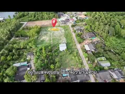 ถูกที่สุดในโซน! ที่ดินแปลงสวย ระยอง ตร.ว.ละ 5,500 บาท ใกล้หาดแม่รำพึงและสุขุมวิท 250 เมตร