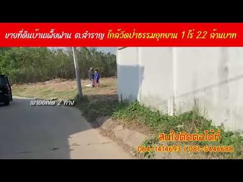 ขายที่ดินบ้านเพี้ยฟาน หลังวัดป่าธรรมอุทยาน จำนวน 1 ไร่ ลดราคาพิเศษ2.2 ล้านบาท ค่าโอนคนละครึ่ง