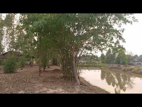 Land for sale Muang KhonKaen
