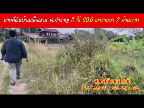 ขายที่ดินบ้านเพี้ยฟาน ตำบลสำราญจำนวน 5 ไร่ 60.60 ตารางวา  ราคาพิเศษ 2 ล้านบาท