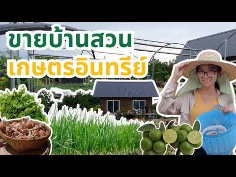 ขายบ้านสวนเกษตรอินทรีย์ โฉนด 1 ไร่ จ.ชลบุรี