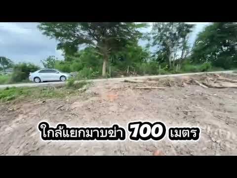 ขายที่ดินตารางวาละ 7,000 บาท เนื้อที่ 355 ตารางวา ใกล้แยกมาบข่า 700 เมตร นิคมพัฒนา ระยอง