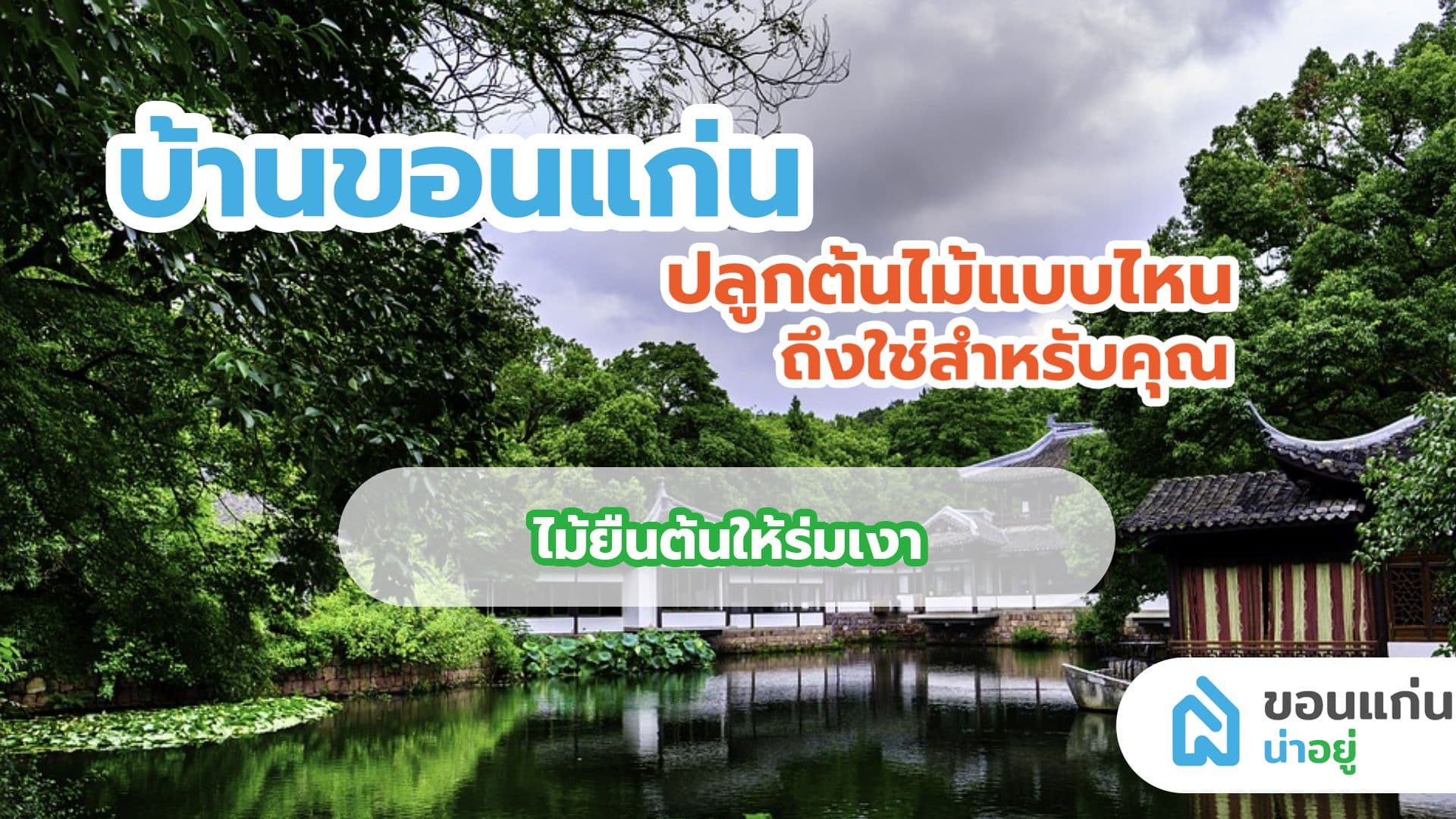 บ้านขอนแก่น ปลูกต้นไม้แบบไหน ถึงใช่สำหรับบ้านคุณ I ไม้ยืนต้นให้ร่มเงา